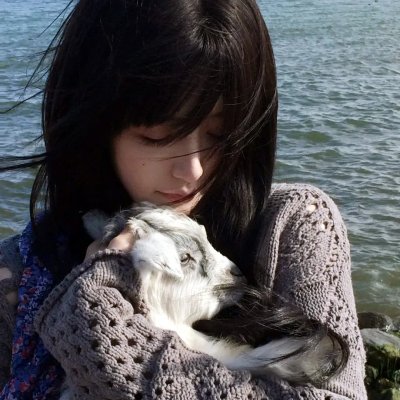 天梯:蔡国强的艺术